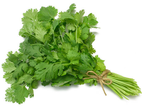 Coriander Fresh 1 banch.