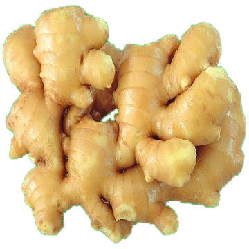 GINGER FRESH 1 LB