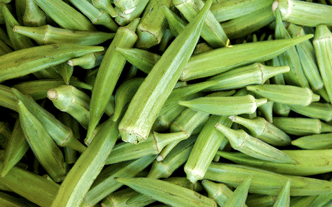 OKRA FRESH $6.99 LB