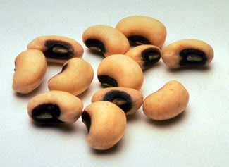 Black Eye Bean 1 LB
