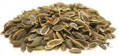 Dill Seeds 4 Ozs