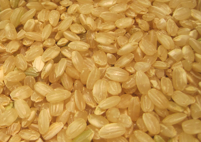Brown Rice, Short Grain 2 lbs