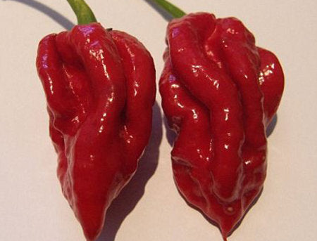 Costend Chilli Whole Organic 56 grams