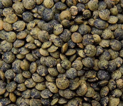 French Lentils 1 LB