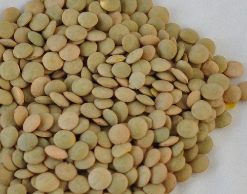 Green Lentils 1 lb