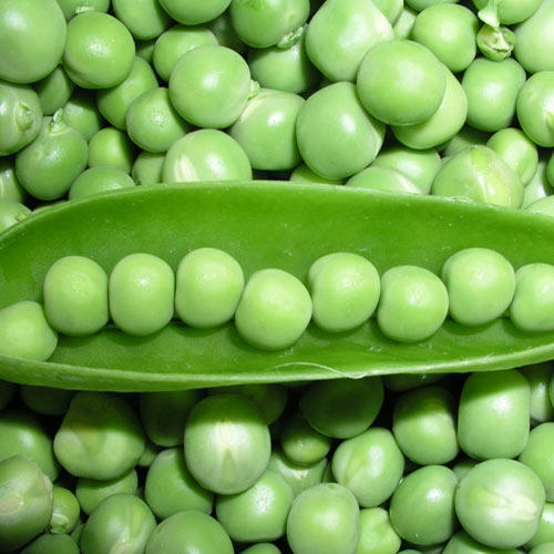 Green Vatana 1 lb