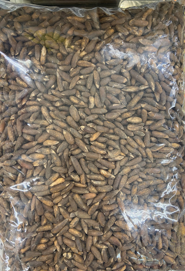 CHILGOZA (PINE NUTS IN SHELL 224 grams.