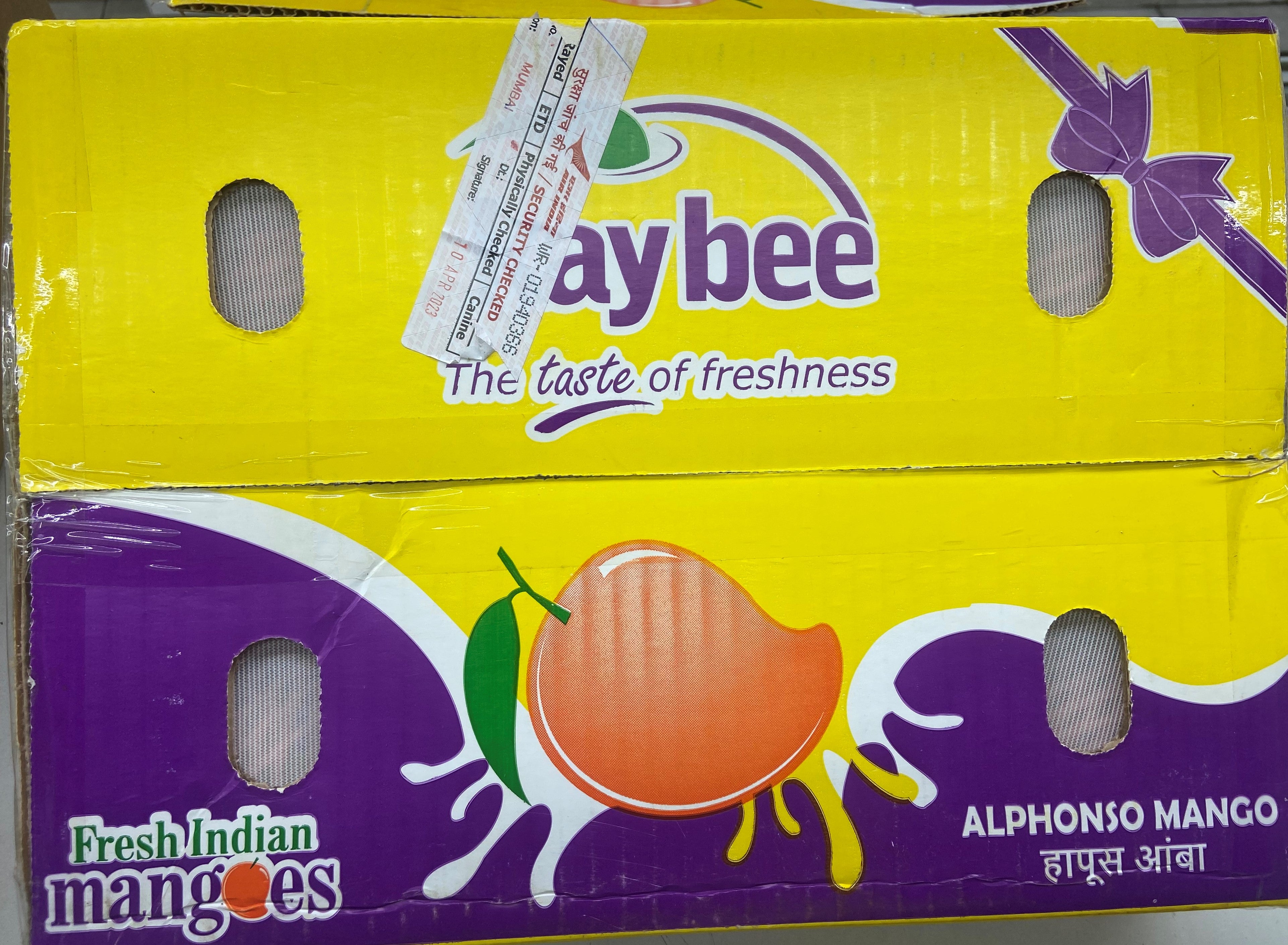 MANGOS ALPHONSO / KESAR 1 BOX – New Foods Of India