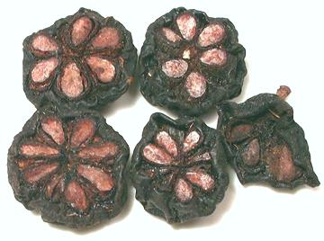 Kokum Phool 4 Ozs Dry