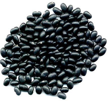 Black Bean 1 LB