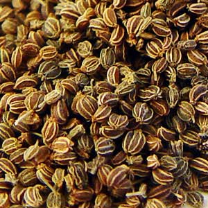 Celery Seeds 84 Gram