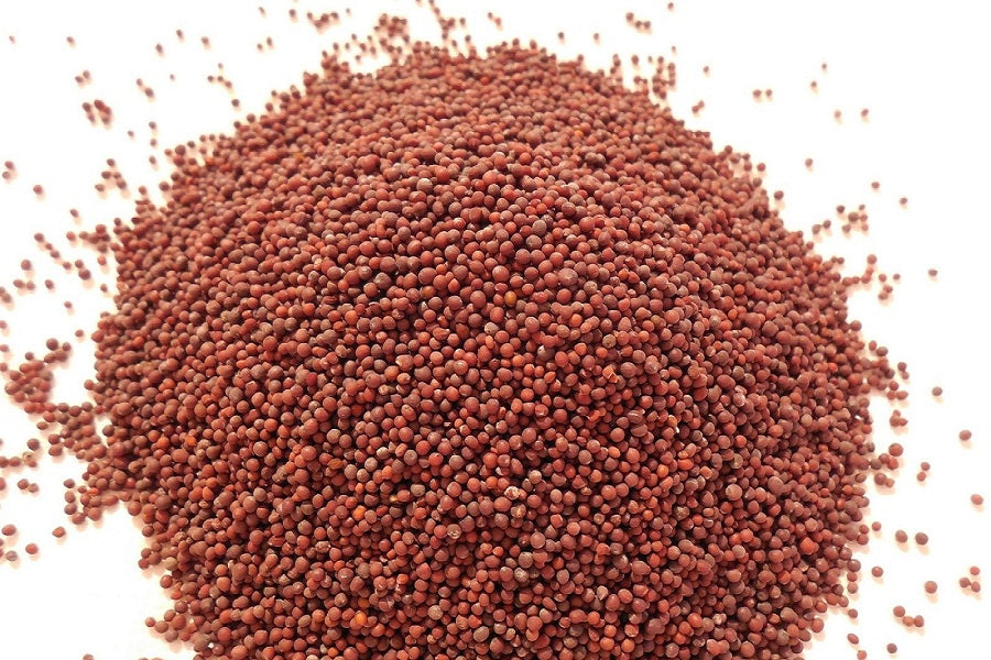 Mustard Seeds Red 6 Ozs