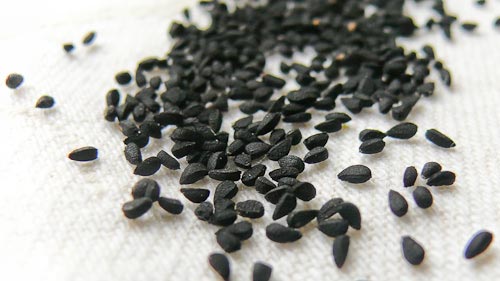 BLACK SEEDS /NIZELLA SEEDE (Black Onion Seeds)  3.5 OZS
